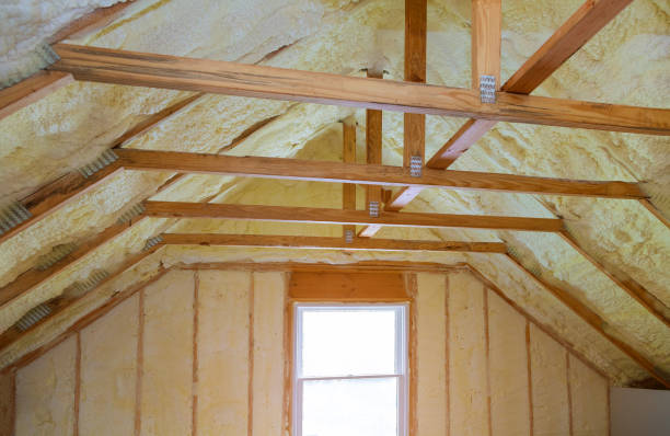 Best Commercial Insulation in Lindstrom, MN