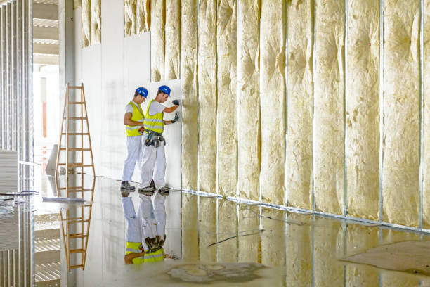 Best Insulation for Specific Applications in Lindstrom, MN